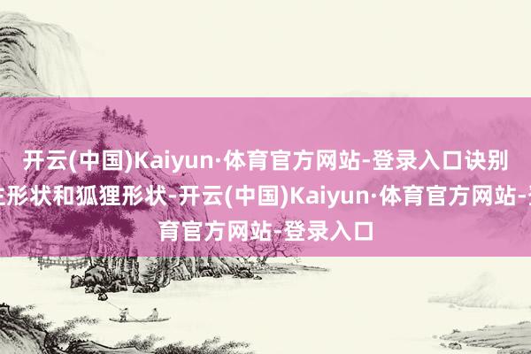 开云(中国)Kaiyun·体育官方网站-登录入口诀别是东谈主形状和狐狸形状-开云(中国)Kaiyun·体育官方网站-登录入口