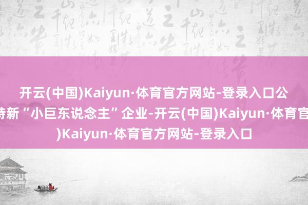 开云(中国)Kaiyun·体育官方网站-登录入口公司是国度级专精特新“小巨东说念主”企业-开云(中国)Kaiyun·体育官方网站-登录入口