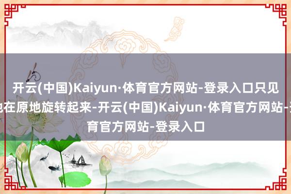开云(中国)Kaiyun·体育官方网站-登录入口只见它稳稳地在原地旋转起来-开云(中国)Kaiyun·体育官方网站-登录入口
