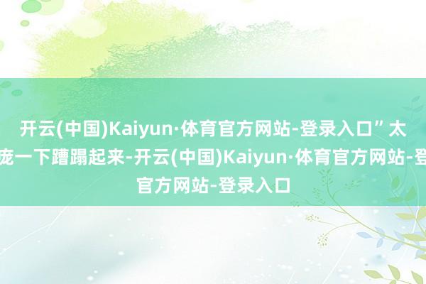 开云(中国)Kaiyun·体育官方网站-登录入口”太子辉面庞一下蹧蹋起来-开云(中国)Kaiyun·体育官方网站-登录入口