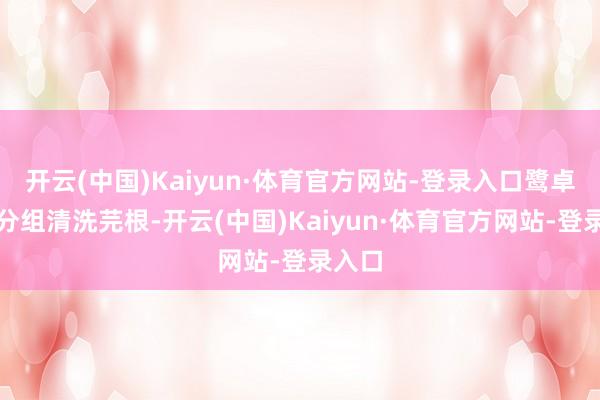 开云(中国)Kaiyun·体育官方网站-登录入口鹭卓提倡分组清洗芫根-开云(中国)Kaiyun·体育官方网站-登录入口