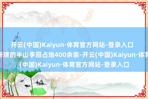 开云(中国)Kaiyun·体育官方网站-登录入口   半山李园：大兴村新建的半山李园占地400余亩-开云(中国)Kaiyun·体育官方网站-登录入口