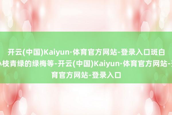 开云(中国)Kaiyun·体育官方网站-登录入口斑白绿萼、小枝青绿的绿梅等-开云(中国)Kaiyun·体育官方网站-登录入口