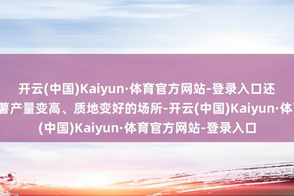 开云(中国)Kaiyun·体育官方网站-登录入口还不如把钱用在能让番薯产量变高、质地变好的场所-开云(中国)Kaiyun·体育官方网站-登录入口