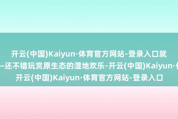 开云(中国)Kaiyun·体育官方网站-登录入口就像是在水上迷宫中闯关~还不错玩赏原生态的湿地欢乐-开云(中国)Kaiyun·体育官方网站-登录入口