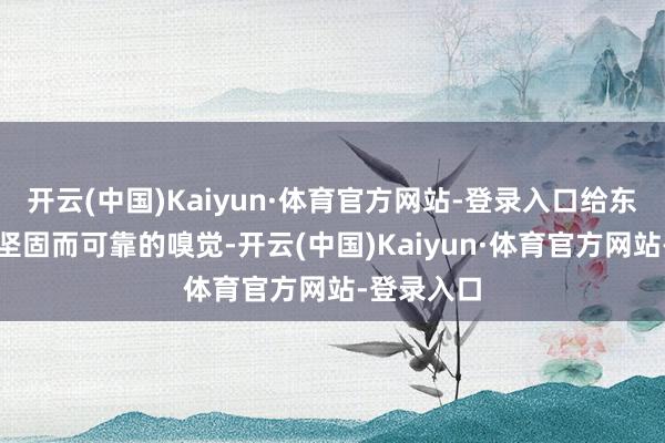 开云(中国)Kaiyun·体育官方网站-登录入口给东谈主一种坚固而可靠的嗅觉-开云(中国)Kaiyun·体育官方网站-登录入口