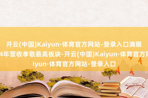 开云(中国)Kaiyun·体育官方网站-登录入口滴眼剂为公司2024年营收孝敬最高板块-开云(中国)Kaiyun·体育官方网站-登录入口