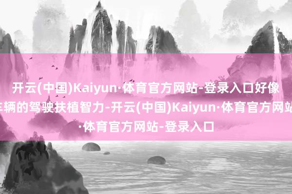 开云(中国)Kaiyun·体育官方网站-登录入口好像权贵陶冶车辆的驾驶扶植智力-开云(中国)Kaiyun·体育官方网站-登录入口