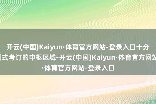 开云(中国)Kaiyun·体育官方网站-登录入口十分于参预分列式考订的中枢区域-开云(中国)Kaiyun·体育官方网站-登录入口